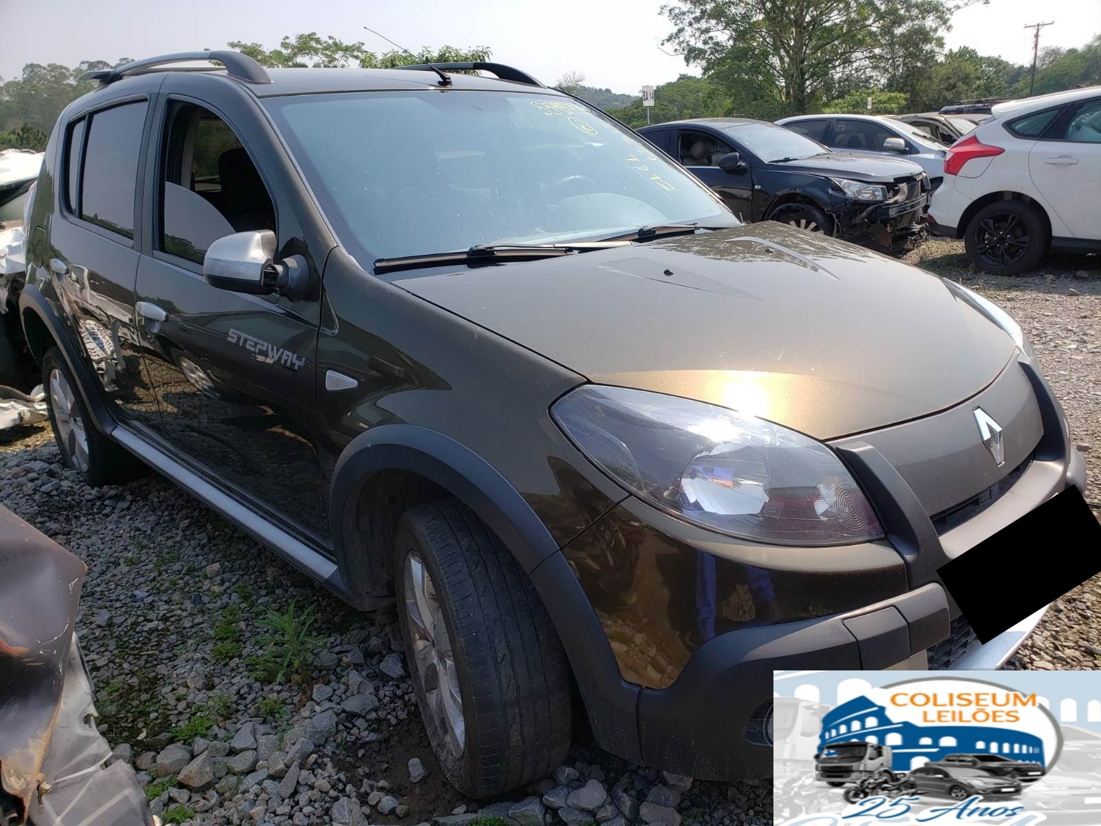 SANDERO STEPWAY 1.6 HI-POWER 2013